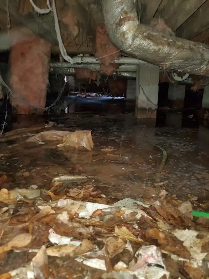 Crawl space flood assessment for Commercial Water Damage Restoration in Old Town