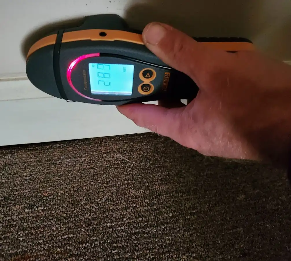 Moisture detection at baseboard during Sewage Cleanup & Sanitation in Old Town